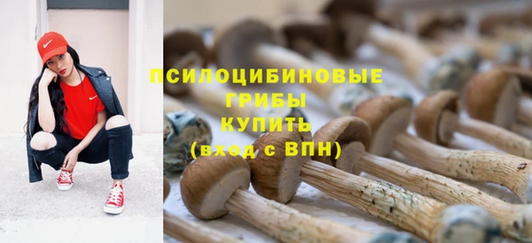 шишки Аркадак