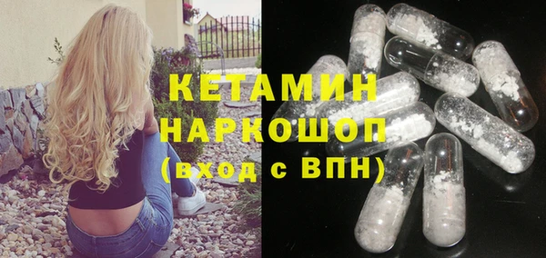 шишки Аркадак
