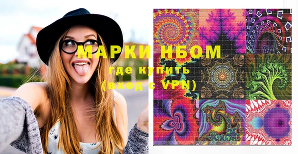 шишки Аркадак