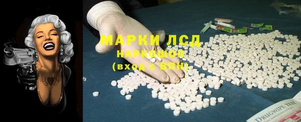 шишки Аркадак