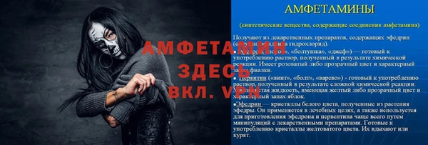 шишки Аркадак