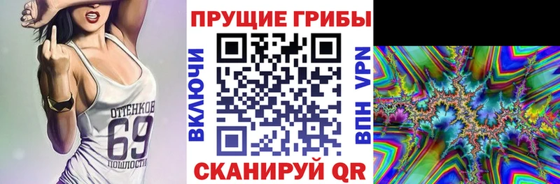 Галлюциногенные грибы Magic Shrooms  кракен зеркало  Боровск  закладки 